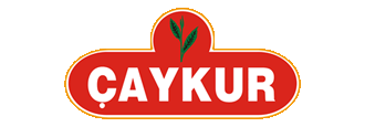 Caykur