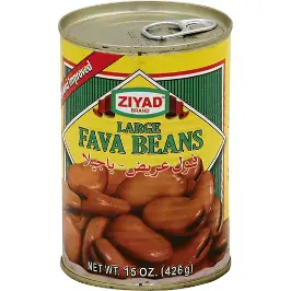 Ziyad Large Fava Beans